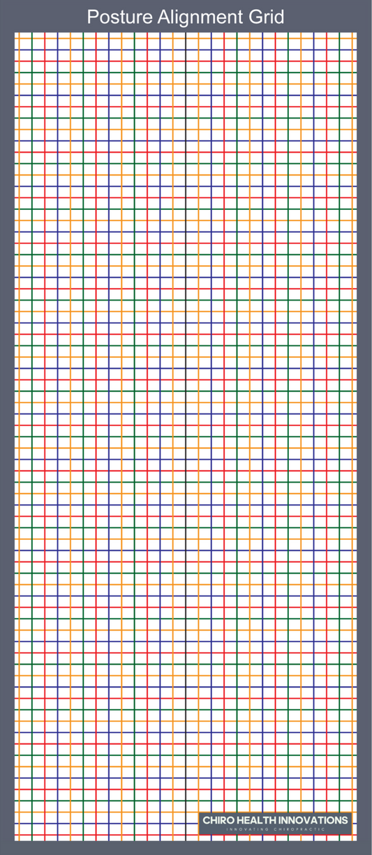 Large Wall Mounted Posture Grid